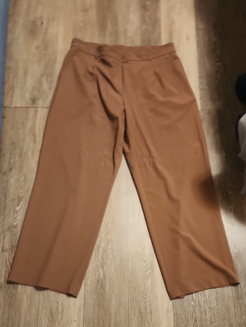 Rachel Zoe Wide-Leg Trousers in Camel Brown